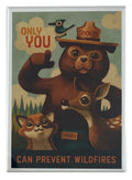 Disney Parks Magnet - Smokey the Bear - Only You Can Prevent Wildfires - front view