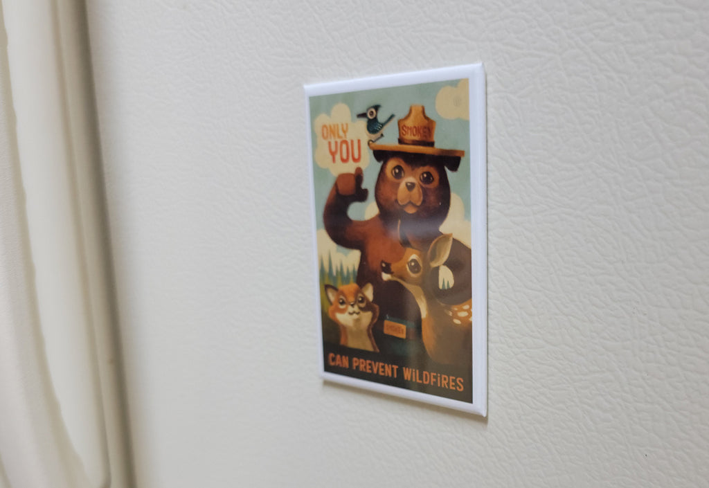 Disney Parks Magnet - Smokey the Bear - Only You Can Prevent Wildfires - alternate view 2